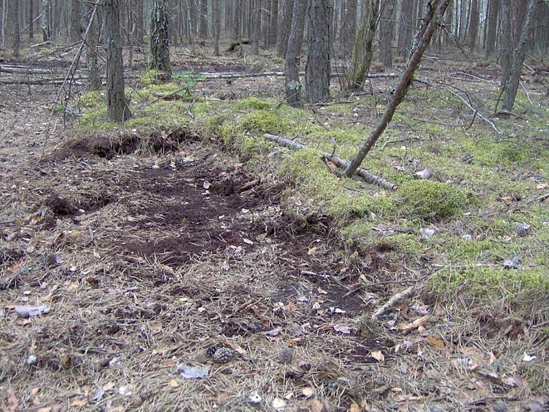 Fournisseur de terre végétale Romorantin-Lanthenay